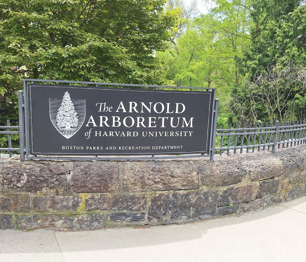 Olmsted and the Arnold Arboretum 1